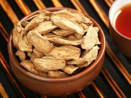 牛蒡的種植小技巧有哪些？