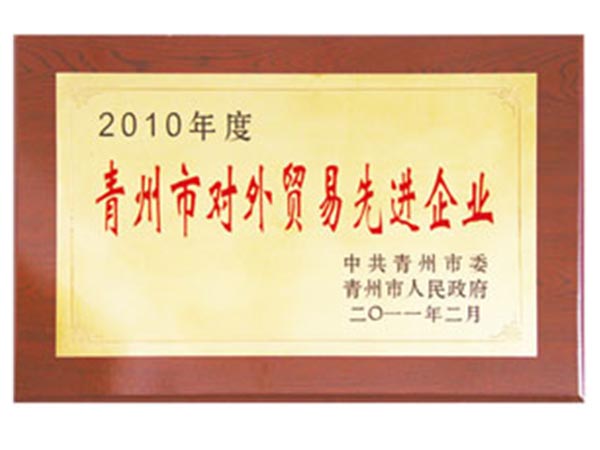 2010年度青州市對(duì)外貿(mào)易先進(jìn)企業(yè).jpg